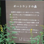 ポートランドの森の写真