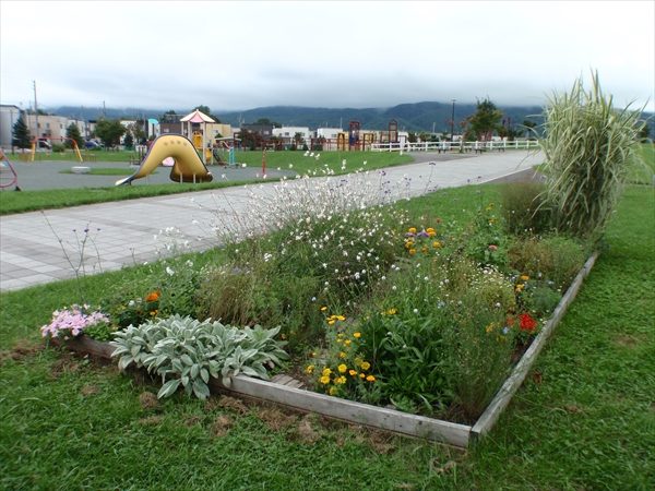 ボランティア団体の明日風フィオーレが管理している花壇の全景