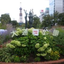 「本日のボランティア活動(花壇)」の写真