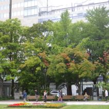 「本日のボランティア活動(シーズネット)」の写真