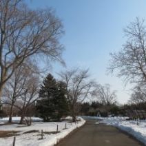 「「歩くスキーコース」開放終了のお知らせ（2026年3月14日）」の写真