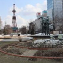 「本日のボランティア活動（バラ）」の写真