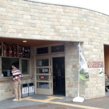 「旭山記念公園野鳥情報2026年2月17日（火曜日）」の写真