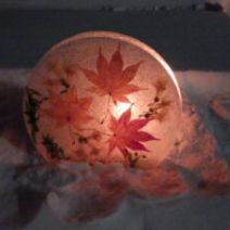 「「スノーキャンドルの灯りをともそうin豊平公園2026」終了しました！」の写真