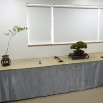 「「北海道の盆栽づくり6月展」開催します」の写真