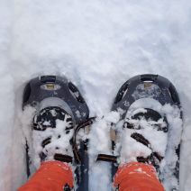 「スノーシューで森を散策！」の写真