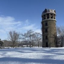「本日の百合が原公園（ウメ、ヘレボルス ニゲルの開花、ミモザの様子など）2026年1月18日」の写真