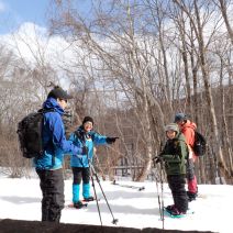 「明日から椿ミニ展示はじまります。」の写真