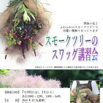 「本日のボランティア活動(シーズネット)」の写真