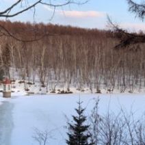 「「西岡見聞録4月号」発行しました」の写真