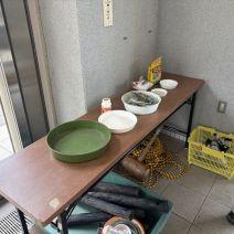 「西岡ヤンマ団(新入生標本教室)がありました」の写真