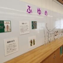 「「ふゆめ」展示が始まりました。」の写真