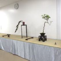 「「北海道の盆栽づくり9月展」開催します」の写真