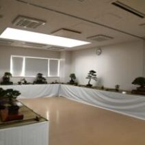 「明日から盆栽展がはじまります」の写真