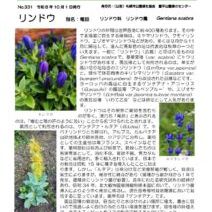 「緑のセンターだより10月号を発行します」の写真