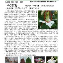 「緑のセンターだより8月号を発行します。」の写真