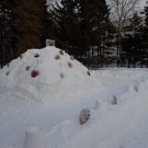 「百合が原公園、今週末のおススメのイベント(2026年1月23日)」の写真