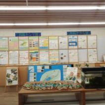 「明日から椿ミニ展示はじまります。」の写真