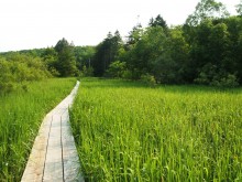nishioka_gy01 西岡公園