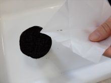 種まき実習でペチュニアのタネをまいているところ