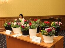 交流会会場の寄せ植え