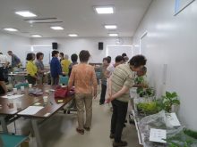 交換用の苗を選んでいるところ