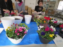 苗を仮置きしているところ