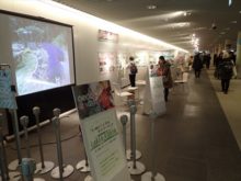 花と緑のネットワークフェアの様子