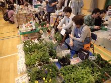 自分たちで育苗した花苗をフリーマーケットで販売している様子
