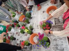 寄せ植えを考えているところ