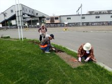 赤ゾーンの植栽