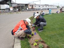 黄色ゾーンの植栽