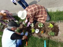 白ゾーンの植栽