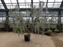 百合が原公園の展示