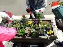 植えこみ中のコンテナガーデン