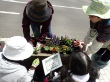 植え込む苗の検討をしているところ