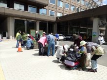 札幌市役所本庁舎前の苗植え