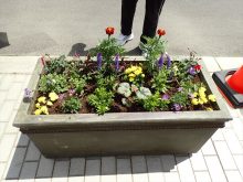 完成したコンテナ