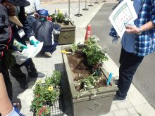 植え込む苗の検討をしているところ