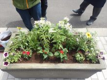 完成したコンテナ