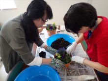 寄せ植えを教えてつくっているところ