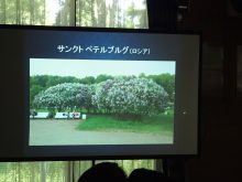 スライドの内容