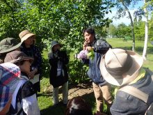 ライラックの鑑賞をしているところ