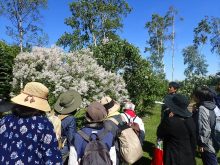 ライラックの見学をしているところ