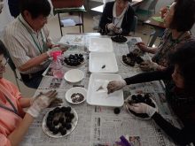 ダンゴにたねをつけているところ