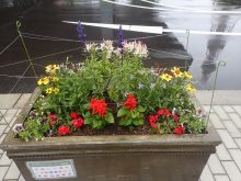 メンテナンス前の様子