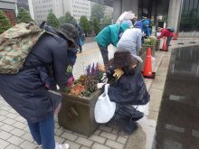 市役所本庁舎前のメンテナンスの様子