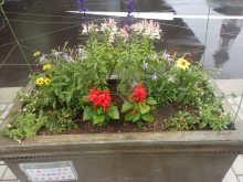 メンテナンス後の様子