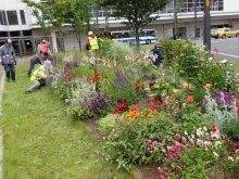 一年草中心化壇の様子