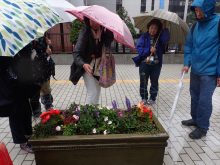 雨の中、コンテナの観察をおこなっているところ